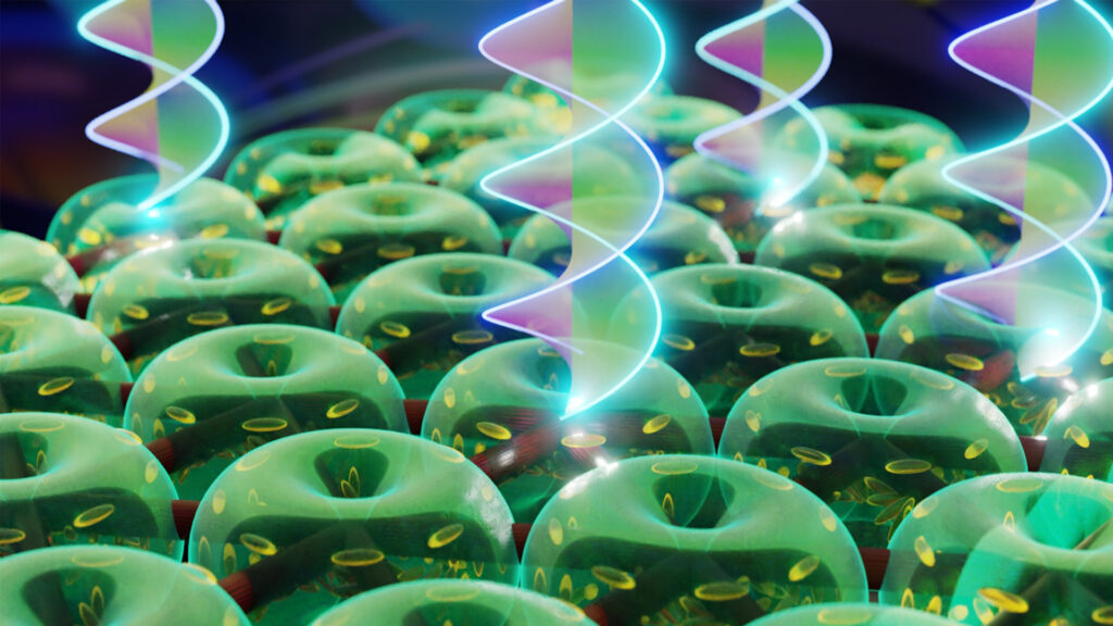 A tiny optical trap lets light twist and persist in its lowest-energy state, opening new possibilities for scalable photonic technologies.