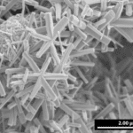Star-Shaped Nanostructures Enable Hybrid Energy Storage