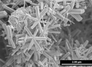 Star-Shaped Nanostructures Enable Hybrid Energy Storage