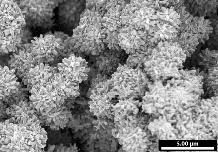 As the VOOH shape transitioned from sheets to stars, it took on the shape of clustered rods. Photo: Luis De Jesús Báez/University at Buffalo