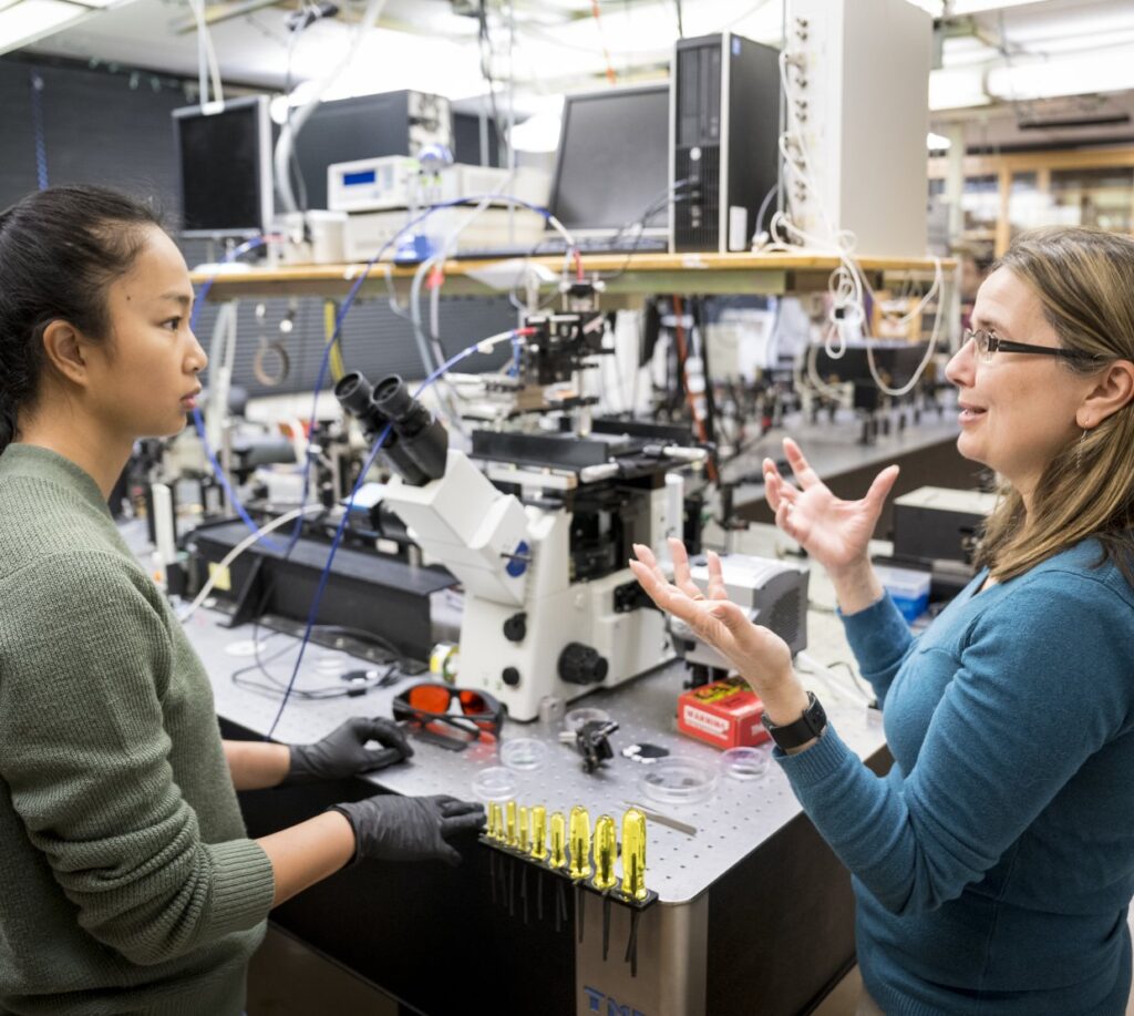 From fungi to flexible electronics: Advancing nature-inspired semiconductor solutions