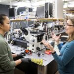 Fungus Inspired Semiconductors For Flexible Electronics