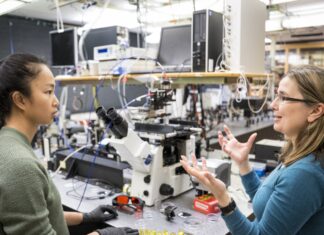 Fungus Inspired Semiconductors For Flexible Electronics