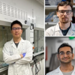 Symmetric Perovskites Improve Energy Transport