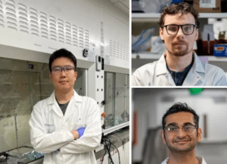 Symmetric Perovskites Improve Energy Transport