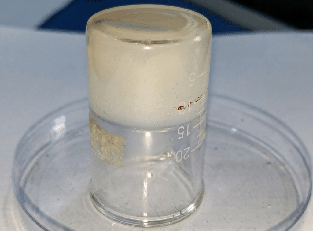 
Oxalate crosslinked chitosan hydrogel developed by Nagaland University