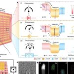 Single device combines sensing memory and logic