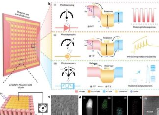 Single device combines sensing memory and logic