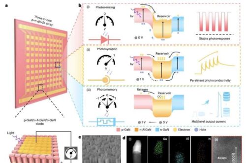 Three-in-one image sensor based on a multifunctional p–n diode architecture. Credit: Luo et al. (Nature Electronics, 2026).