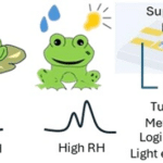 Humidity Sensor Combines Sensing and Processing