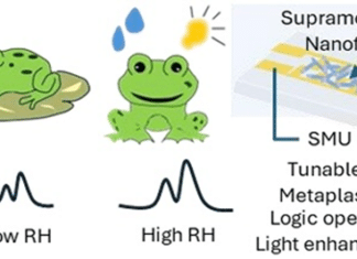 Humidity Sensor Combines Sensing and Processing