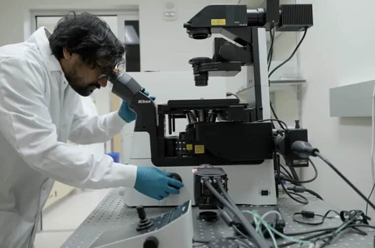 WashU researchers use quantum biosensors to peer into cells’ inner workings