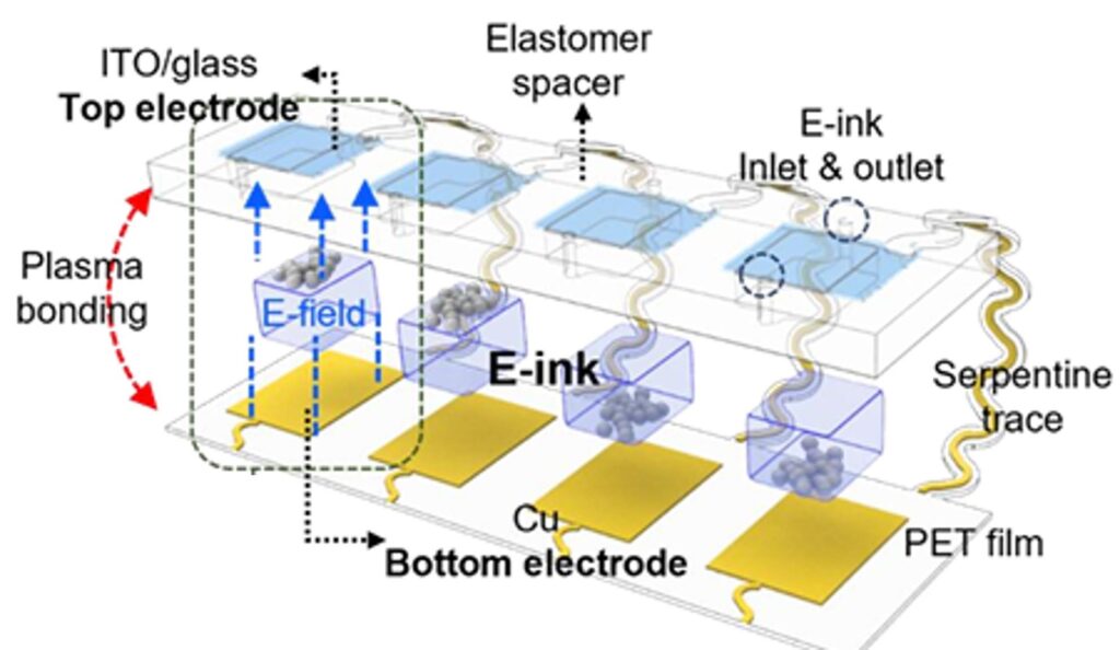 A schematic diagram illustrating the operating principle of digital colorimetry.
