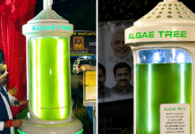 Solar Algae System Matches 25 Trees Capacity