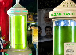 Solar Algae System Matches 25 Trees Capacity