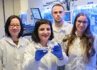 Solar Cells Could Power Buildings and Cars