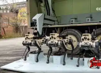 Deep Sea ROV Weapons Surfaced