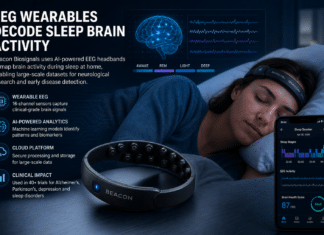 EEG Wearables Decode Sleep Brain Activity