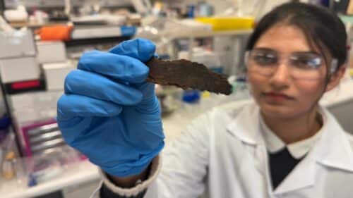 Eucalyptus bark is converted into porous carbon capable of trapping pollutants during filtration.