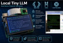 Run LLM Locally on Raspberry Pi: No API, Free & Offline