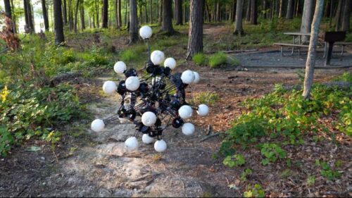 Credit: Science Robotics (2026). DOI: 10.1126/scirobotics.aec1725