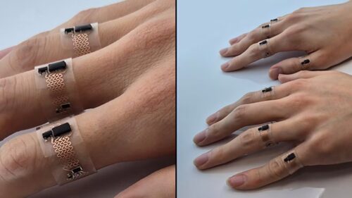 These rings translate sign language (Photo Credit: J. Park et al.)