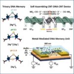 DNA Memory Meets Electronic Switching