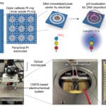 Semiconductor Chip Writes DNA Sequences in Parallel