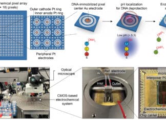 Semiconductor Chip Writes DNA Sequences in Parallel