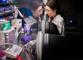 Microwave Process Upcycles Old Batteries into New Cathodes