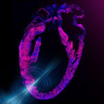 Non-invasive Pacemaker Uses Ultrasound to Regulate Heart Rhythm 