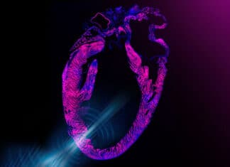 Non-invasive Pacemaker Uses Ultrasound to Regulate Heart Rhythm