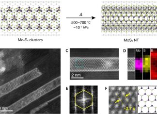 Researchers Develop 1nm-Wide Nanotubes for Future Electronics