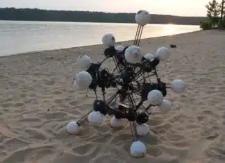 Sea Urchin Inspired Robot Challenges Traditional Designs