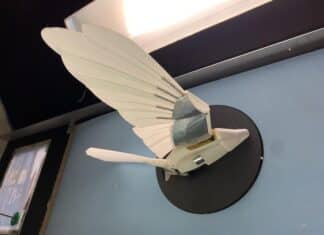 Robot Bird Mimics Kestrels to study Turbulence