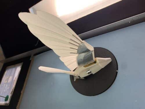 The robotic kestrel in RMIT's industrial wind tunnel.