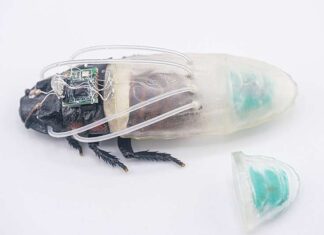 Diving Suit Enhances Cyborg Cockroach Rescues