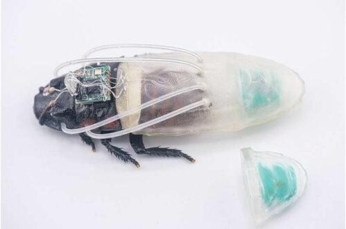 Close-up of the cyborg insect and the new diving suit, which has tubes that connect to the breathing holes of the insect and contains an oxygen generator at the back. Credit: Nanyang Technological University