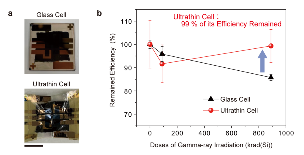 Gamma-ray irradiation resistance of the developed ultrathin perovskite solar cell.
(a) Device photographs of glass substrate and ultrathin substrate perovskite solar cells after 890 krad gamma-ray irradiation. Scale bar: 1 cm.
(b) Dose dependence of efficiency retention rate of perovskite solar cells fabricated on glass substrate and ultrathin substrate, respectively. Modified from H. Jinno & et al., Solar RRL, 2026 (CC BY 4.0).