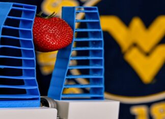 Soft robot picks fruit without damage