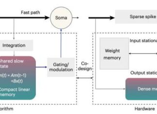 Brain-Inspired AI Handles Long Tasks More Efficiently