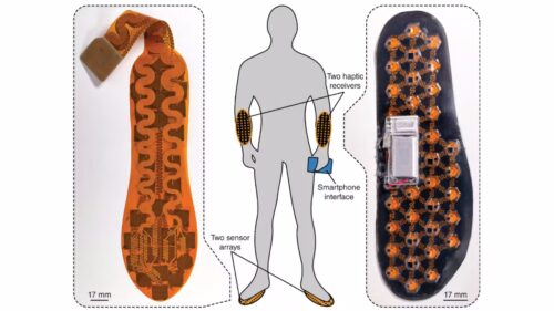 Sensations from the feet are transmitted to the forearms (Photo Credit: Georgia Institute of Technology)