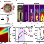 Magnetic Elastomer Powers Smart Electronics