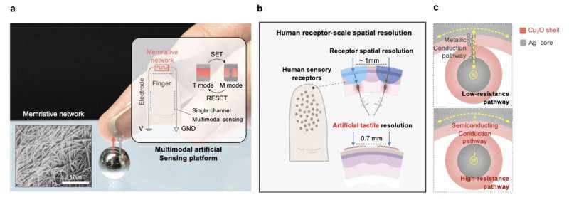 Operating principles and key characteristics of the multimodal artificial sensing platform. Credit: Nature Materials