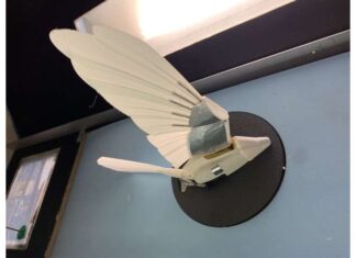 Robotic Bird Advances Drone Flight