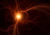 Chip Uses Tiny Pixels to Control Infrared Light