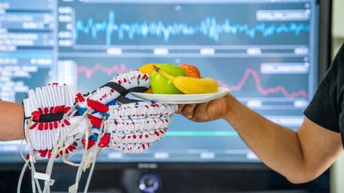 The Soft-Hand exoskeleton assists people with paralysed hands