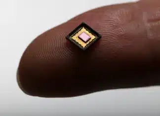 Novel Neural Chip Architecture Slashes Brain Signal Power Consumption