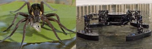 Inspired by fishing spiders in nature, the QuadBoat can maneuver on the water surface and collect floating objects.