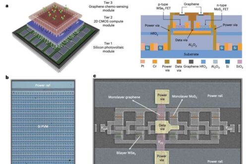 M3D integration of heterogeneous components for self-powered microelectronics. Credit: Nature Electronics (2026). DOI: 10.1038/s41928-026-01624-1
